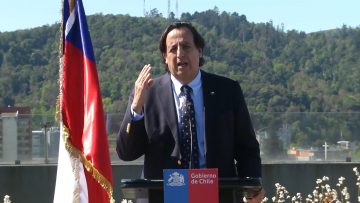 301020-12 DECLARACIONES MINISTRO DEL INTERIOR Y GENERAL ROZAS POR MUERTE DE CARABINERO EN METRENCO 01 (VÍCTOR PÉREZ-MINISTRO DEL INTERIOR)