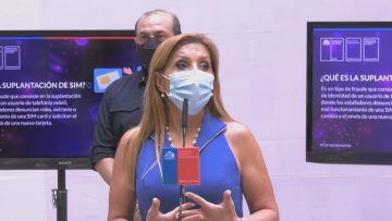 101120-05 ESTAFA SIM SWAPPING 01 (PAMELA GUIDI-SUBSECRETARIA DE TELECOMUNICACIONES)
