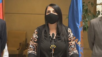 171120-C01 ESCAÑOS PUEBLO INDÍGENAS 01 (KARLA RUBILAR-MINISTRA DE DESARROLLO SOCIAL)