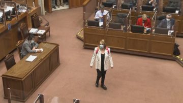 261120-02 PAMELA JILES ENTRA A LA SALA DEL SENADO 03 (1)