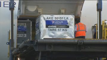 241220-01
