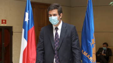 DIEGO PAULSEN FALLO DEL TC