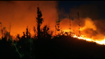 INCENDIO FORESTAL