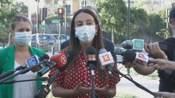 140121-02 MINISTRA PEREZ 1