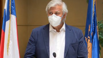 GASTON SAAVEDRA PROTECCIÓN AL EMPLEO