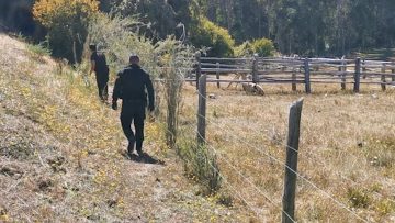 190221-11 APOYO BUSQUEDA TOMÁS EN LEBU 07