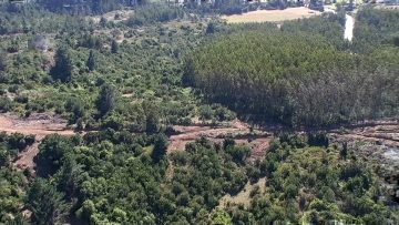 210221-01 IMAGENES DRONE GOPE BUSQUEDA DE TOMAS EL LEBU 07 (1)