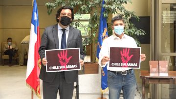 DIAZ-LEIVA PROYECTO DE LEY CHILE SIN ARMAS