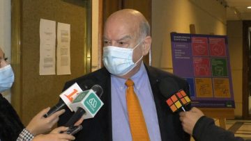 220421-C12 VOCERIA INSULZA 02
