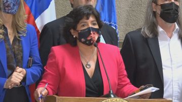 270421-C10 PRESIDENTA DEL SENADO YASNA PROVOSTE 03