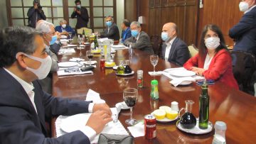 IMAGENES PAULA NARVAEZ REUNIÓN DIPUTADOS PS