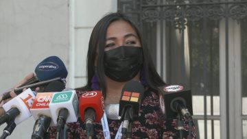 300721-CC04 CONSTITUYENTE SOBRE AGRESIONES A GABRIEL BORIC 4
