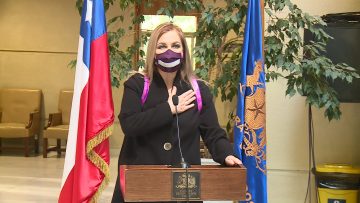 PAMELA JILES VOCERÍA POR PRIMARIAS