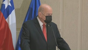 310821-C03 VOCERIA SENADOR INSULZA 1