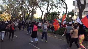181021- MANIFESTACIONES VIÑA (1)