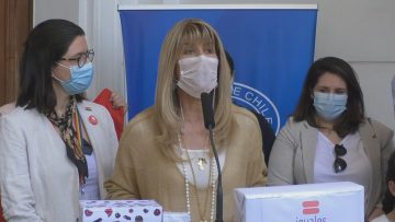 291121-03 FUNDACION IGUALES HACE ENTREGA DE FIRMAS A PRESIDENTE DEL SENADO 01 (1)