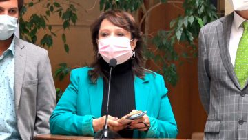VOCERÍA DIPUTADA MARCELA HERNANDO 4° RETIRO EMPLAZAMIENTO AL SENADO 4° RETIRO