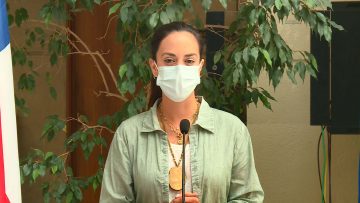 VOCERÍA PAULINA NUÑEZ COMISIÓN ACUSACIÓN PIÑERA