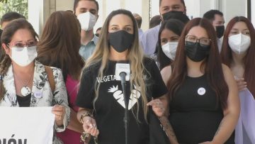 190122-CC05 PRESENTAN NORMA CONSTITUCIONAL PARA INCLUIR A LOS ANIMALES EN LA CONSTITUCIÓN 10