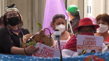 CONSTITUYENTES PRESENTAN PROPUESTA DE NORMA SOBRE EL DERECHO A LA 5