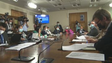 230322-C06 APOYO COMISIÓN DE CONSTITUCIÓN CÁMARA DE DIPUTADOS 04