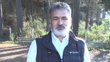 140522-01 RODRIGO ALARCÓN, GERENTE OPERACIONES FORESTAL Y MADERAS CMPC, REFIRIÉNDOSE AL ATAQUE INCENDIARIO EN TEODORO SCHMIDT 03