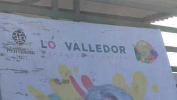 180522-04 APOYO MERCADO LO VALLEDOR 04