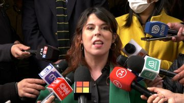 240822-21 RESULTADOS DE ESTUDIO PILOTO QUE CARACTERIZÓ A LOS COMERCIANTES INFORMALES DEL BARRIO MEIGGS 15
