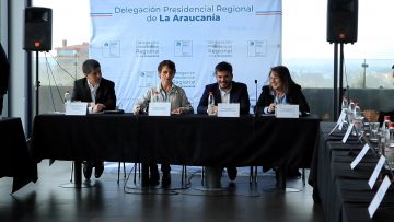 011022-02 APOYO MINISTRA TOHÁ EN GABINETE REGIONAL DE LA ARAUCANÍA 08