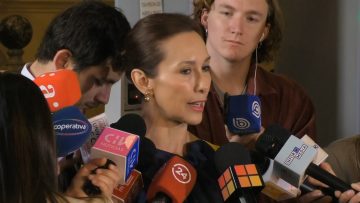 041122-C03 PUNTO DE PRENSA FLAVIA TORREALBA 02