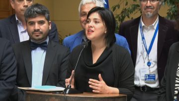 291122-C06 PUNTO DE PRENSA DIPUTADOS COMISIÓN SALUD 05