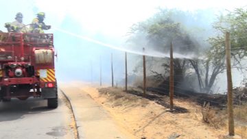 111222-V01 INCENDIO FORESTAL JARDÍN BOTANICO VIÑA DEL MA8