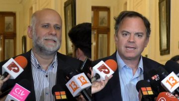 281222-C03 DECLARACIONES SENADORES ELIZALDE Y WALKER 00