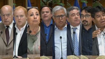 040123-C06 DECLARACIONES SENADORES Y SENADORAS 00