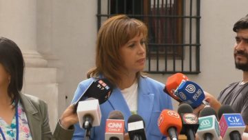 060123-04 PUNTO DE PRENSA SENADORA LORETO CARVAJAL (02)