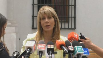 060123-12 PNTO DE PRENSA SENADORES RINCÓN Y OSSANDÓN 01 (1)