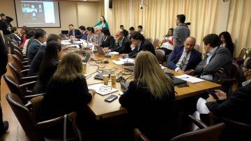 090123-C02 DECLARACIONES DIPUTADOS POR COMISIÓN DE CONSTITUCIÓN 10