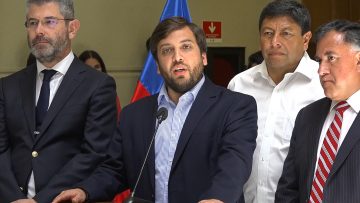 110123-C06 OFICIALISTAS POR PROCESO CONSTITUYENTE 01