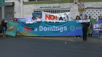 180123-02 DECLARACIONES POR APRUEBO DEL PROYECTO DOMINGA 01180123-02 DECLARACIONES POR APRUEBO DEL PROYECTO DOMINGA 06