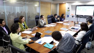 180123-04 APOYO COMITE DE MINISTROS POR PROYECTO DOMINGA 11 (1)