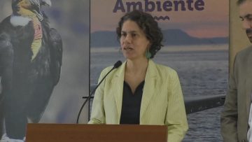 180123-06 COMITÉ DE MINISTROS CALIFICA DESFAVORABLEMENTE PROYECTO MINERO PORTUARIO DOMINGA01