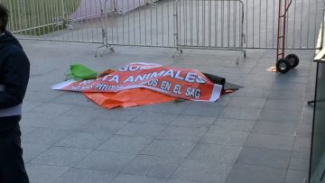 200123-03 DUEÑO DE ZOOLOGICO DEJA LEÓN MUERTO EN LA MONEDA 03