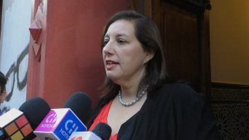 010223- 10 DECLARACIONES PAULINA VODANOVIC (01)