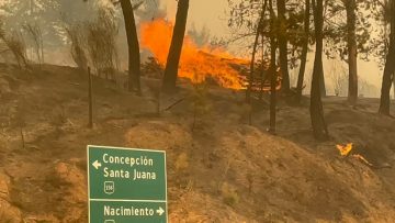 030223-11 INCENDIO SANTA JUANA (01)