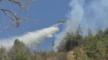 17022303 INCENDIO FORESTAL EN LADERA DEL CERRO SAN CRISTÓBAL 10