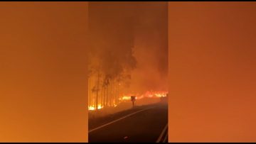 20022306 INCENDIO FORESTAL PATAGUAL 01 (1)