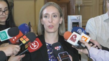 03032312 DECLARACIONES DE LOS INTEGRANTES DEL COMITÉ DE EXPERTOS PARA UNA NUEVA CONSTITUCIÓN 29
