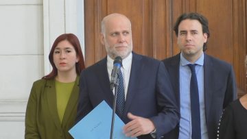 06032305 ELIZALDE MOROSERIC CONSTITUYENTE 020