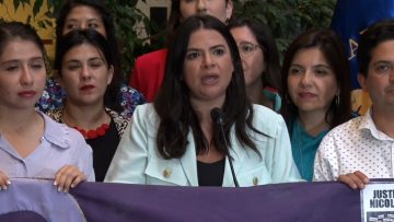 060323C04 PROYECTO DE LEY VÏCTIMAS DE FEMICIDIO 09