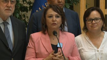 070323C12 MINISTRA HERNANDO Y DIPUTADOS POR TERMINO DE FUNDICIÓN VENTANAS 02